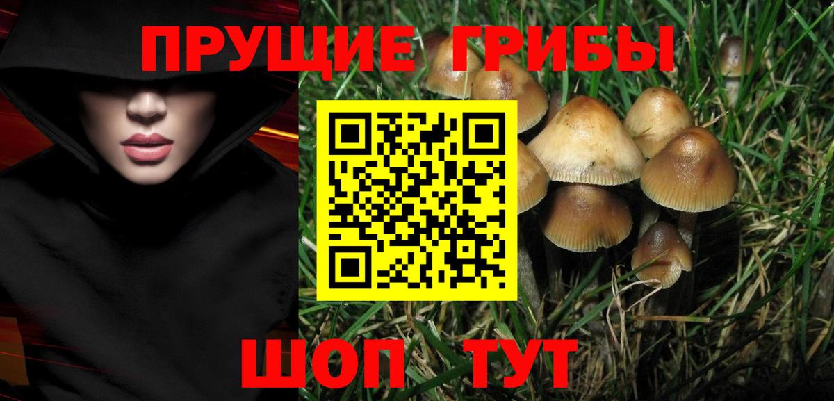 Галлюциногенные грибы Psilocybe  Вход с VPN  Псилоцибиновые грибы мухоморы  Чистополь 